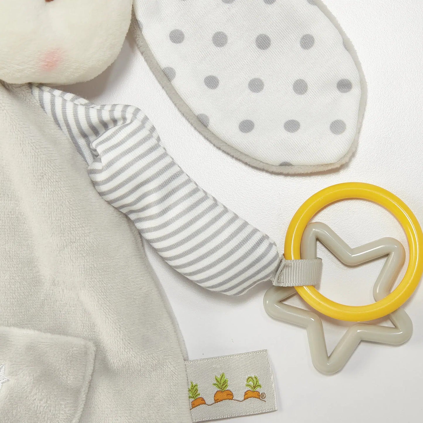 Bloom's Activity Toy