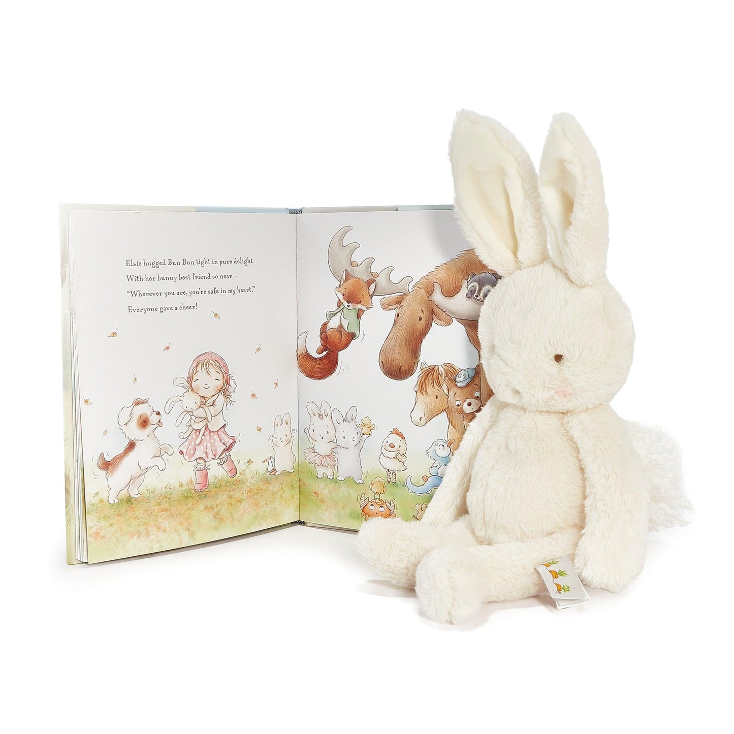 Bun Bun Bunny Book Bundle