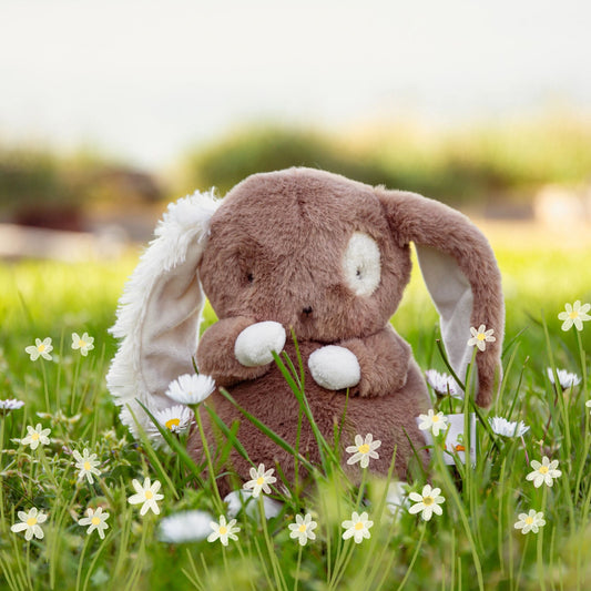 Baby Harriet Book Bundle