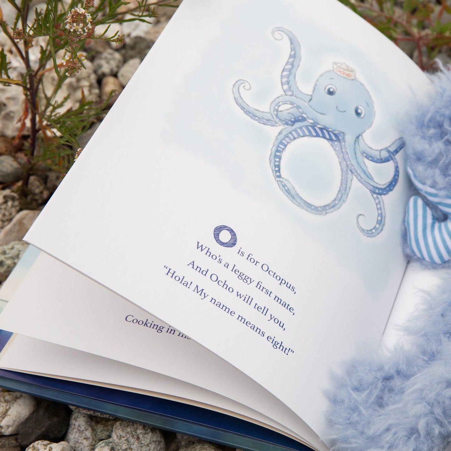 RETIRED - Ocho Book Bundle