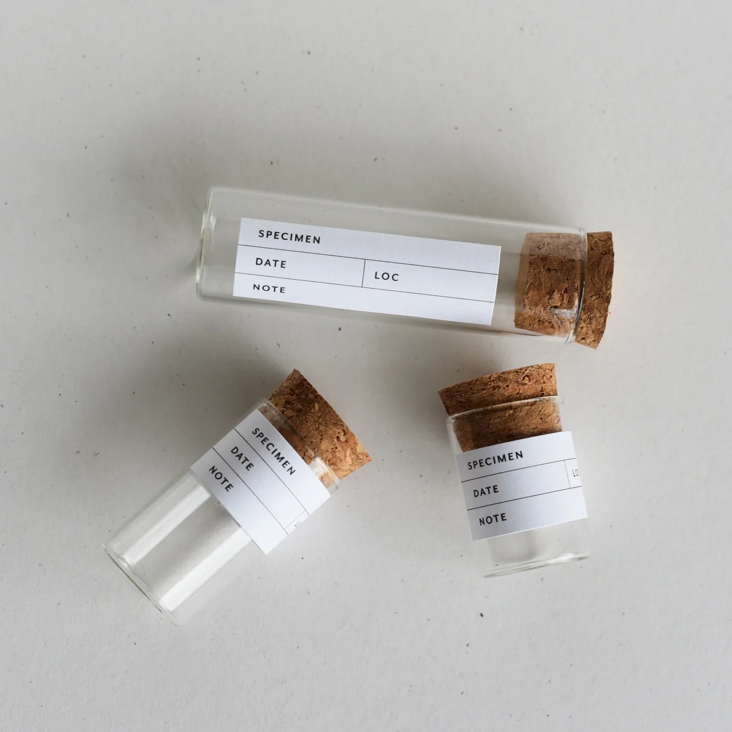 June & December Beach Collecting Kit